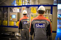 Shell Helix - новый стандарт совместимости с биотопливом